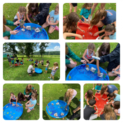 Summer Camp